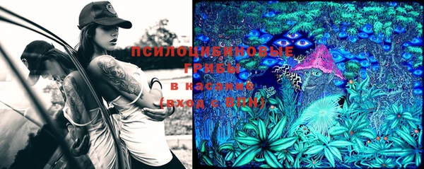 PSILOCYBIN Алексин