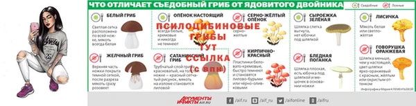 PSILOCYBIN Алексин