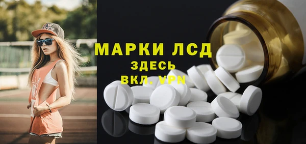 дмт Алзамай