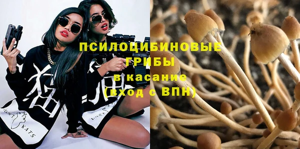 дмт Алзамай