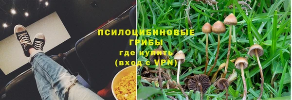 дмт Алзамай