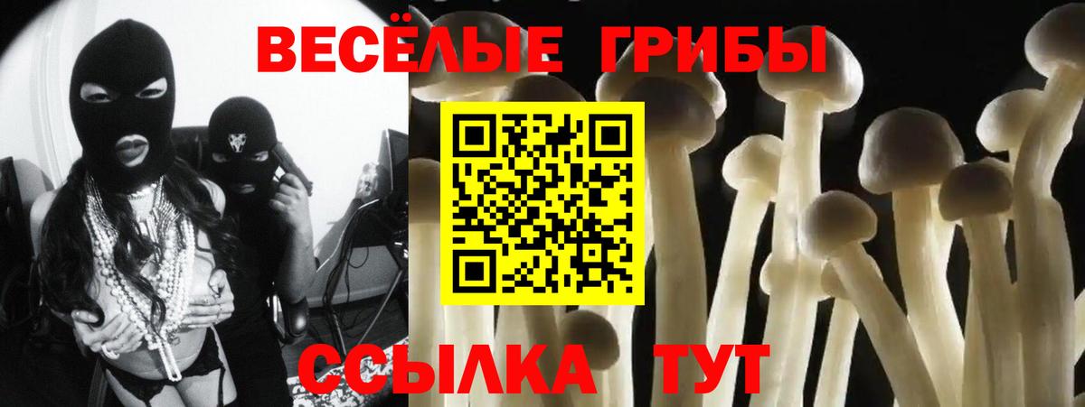 Карталы  Псилоцибиновые грибы MAGIC MUSHROOMS  магазин продажи   Вход с VPN 